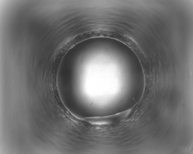 X0000066100919200603131226