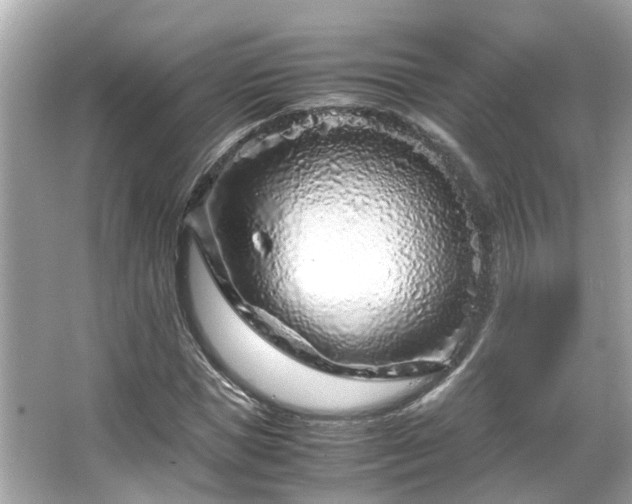 X0000066100921200603131226