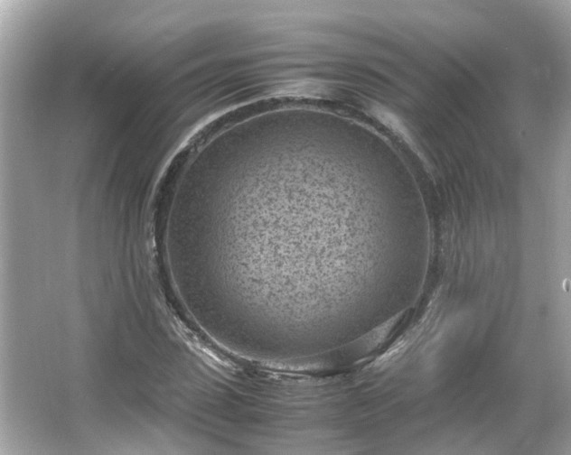 X0000066100923200603131226