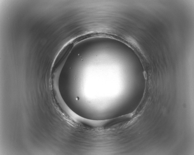 X0000066100924200603131226