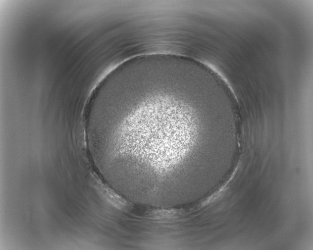 X0000066100925200603131226