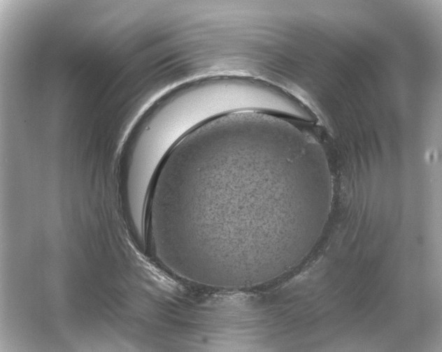 X0000066100926200603131226