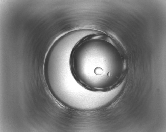 X0000066100932200603131226