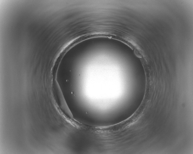 X0000066100933200603131226