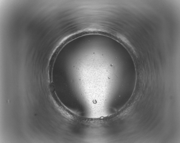 X0000066100934200603131226