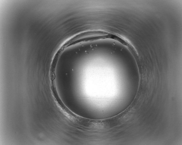 X0000066100935200603131226