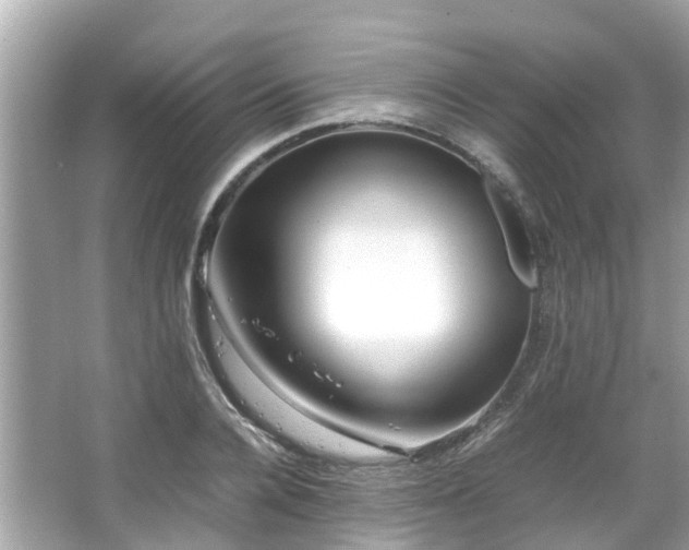 X0000066100936200603131226