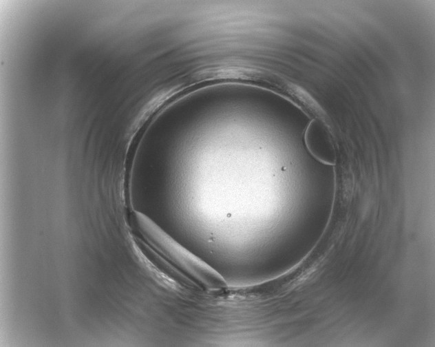 X0000066100938200603131226