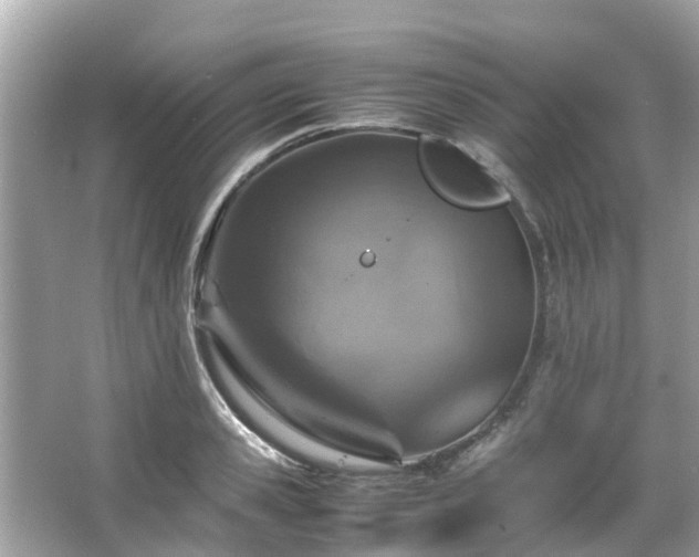 X0000066100941200603131226