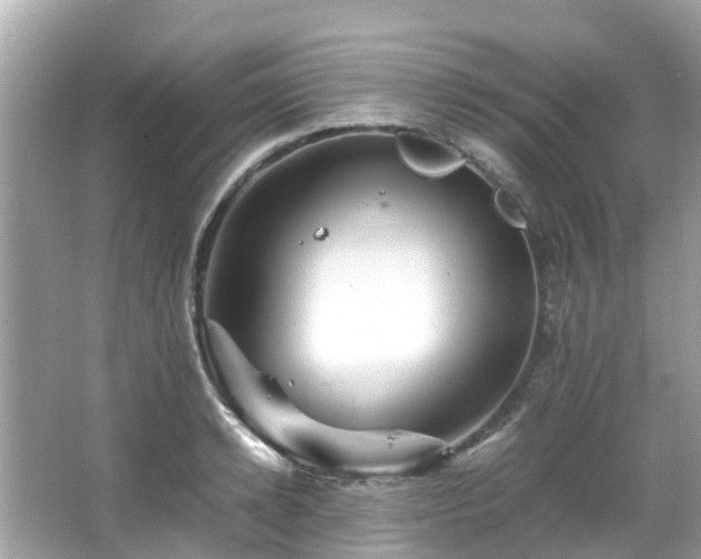 X0000066100942200603131226