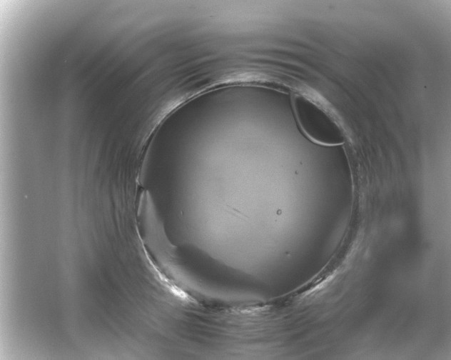 X0000066100945200603131226