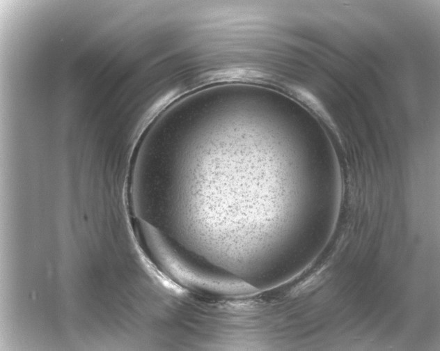 X0000066100946200603131226