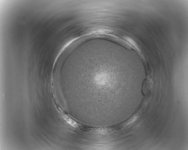 X0000066100948200603131226