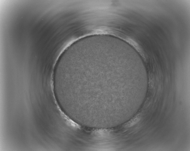 X0000066100950200603131226