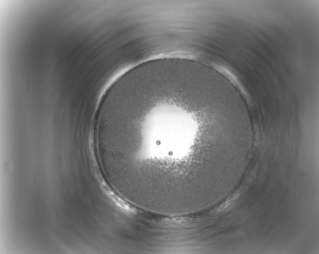 X0000066100952200603131226