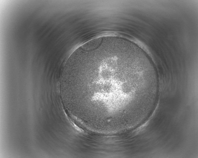 X0000066100953200603131226