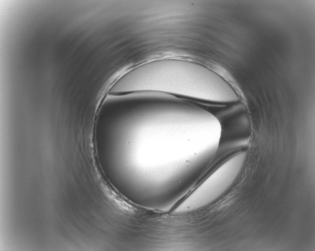 X0000066100954200603131226