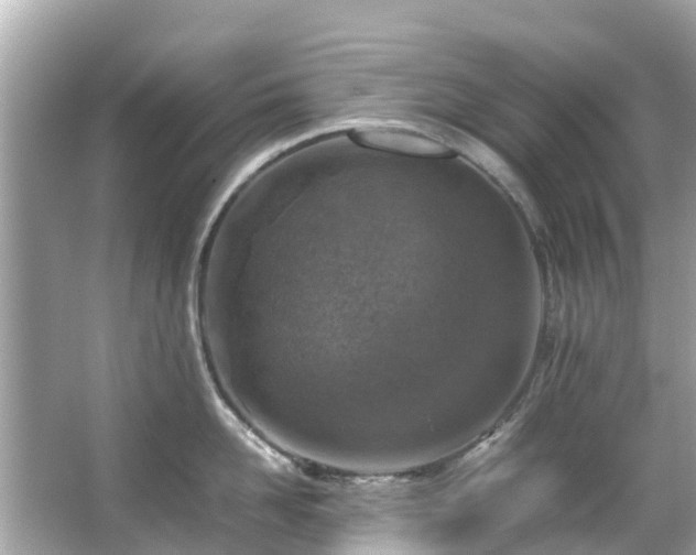 X0000066100958200603131226