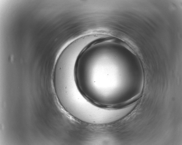 X0000066100960200603131226