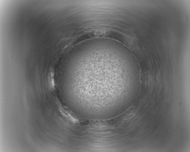 X0000066100962200603131226