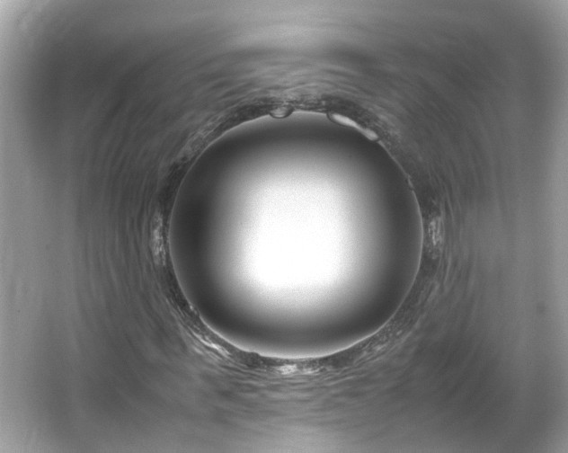 X0000066100963200603131226