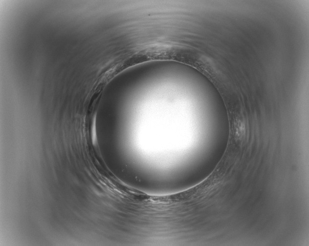 X0000066100964200603131226