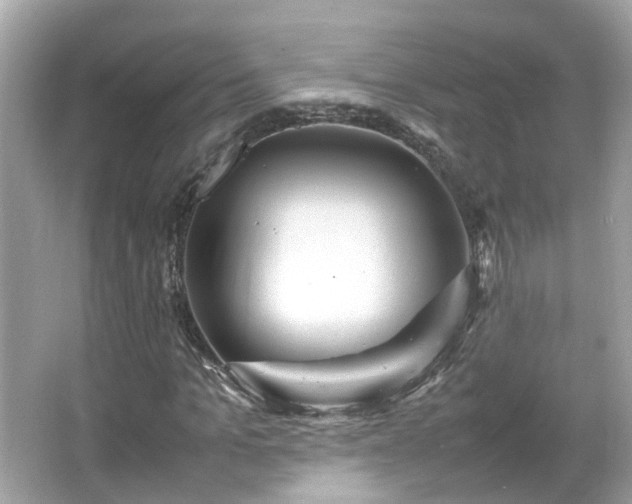 X0000066100965200603131226