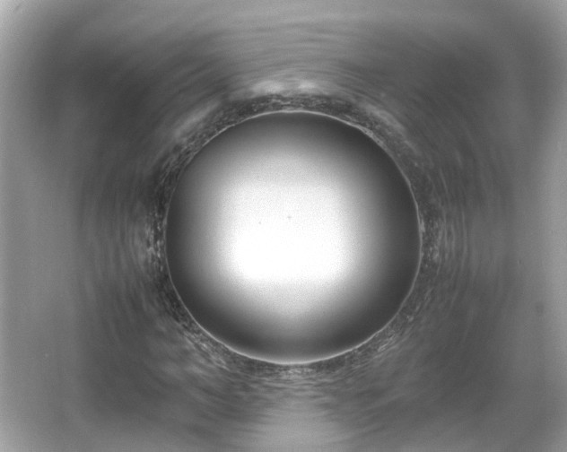 X0000066100966200603131226