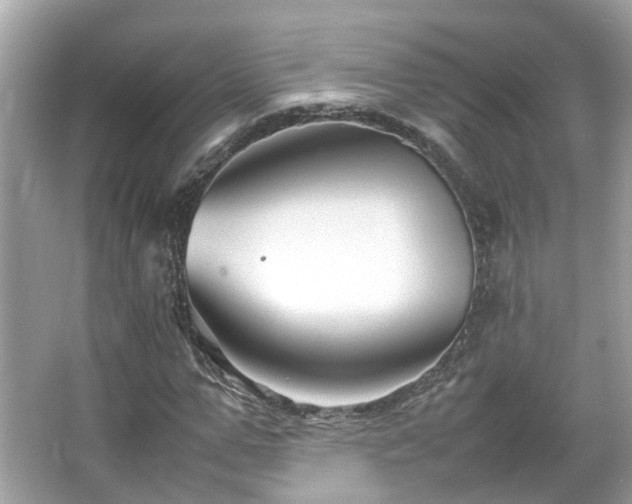 X0000066100967200603131226