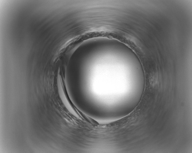 X0000066100968200603131225