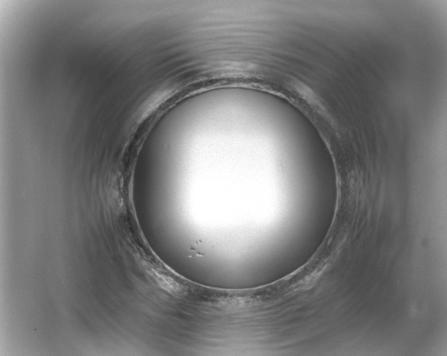 X0000066100970200603131225