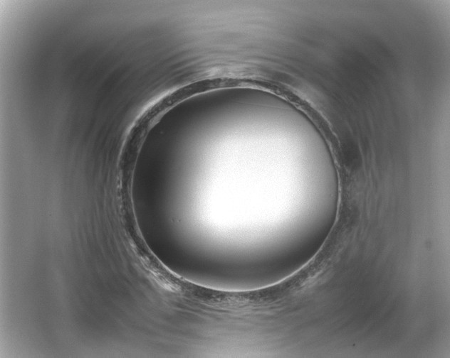 X0000066100971200603131225