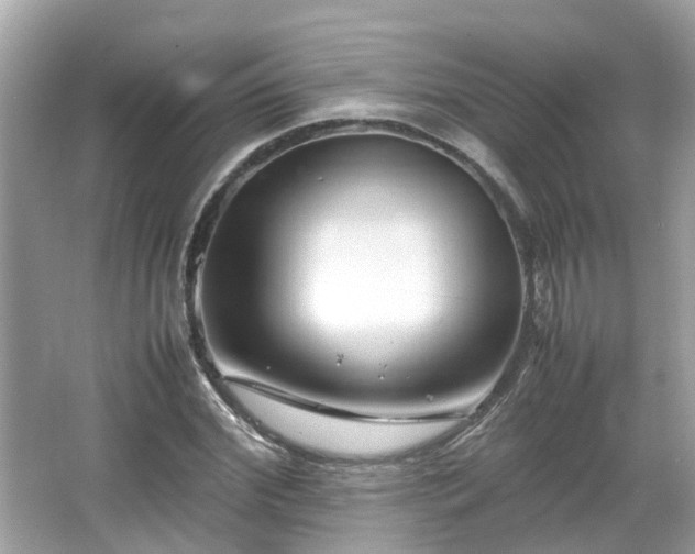 X0000066100972200603131225