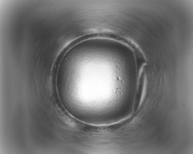 X0000066100975200603131225