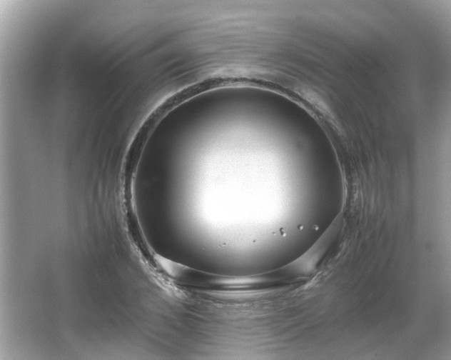 X0000066100976200603131225