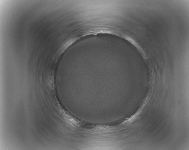 X0000066100977200603131225