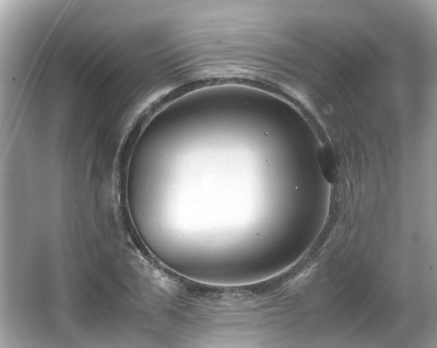 X0000066100979200603131225