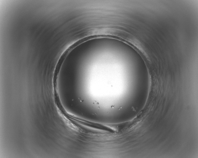 X0000066100980200603131225