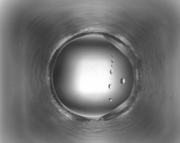 X0000066100981200603131225