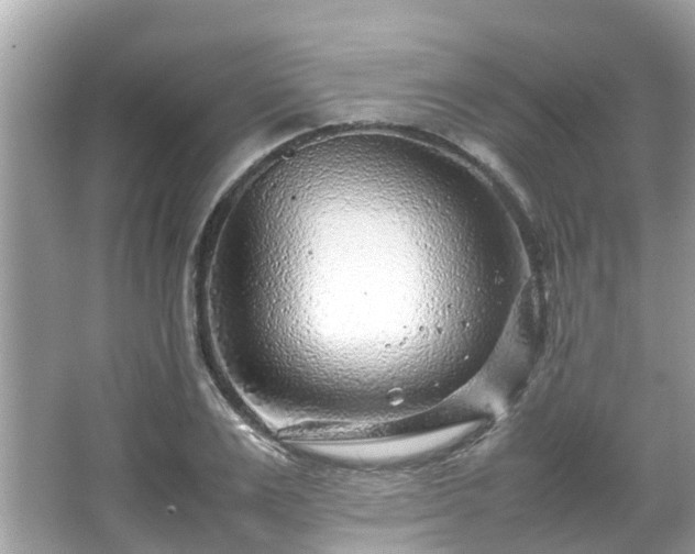 X0000066100983200603131225