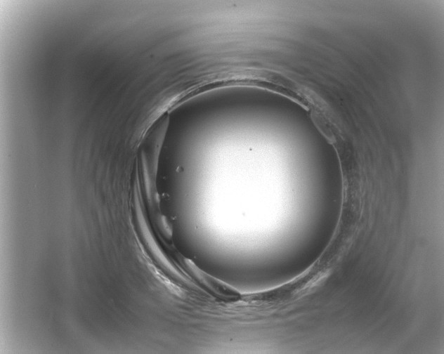 X0000066100985200603131225