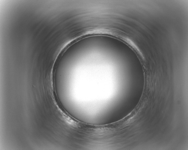 X0000066100988200603131225