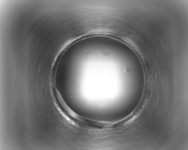 X0000066100989200603131225