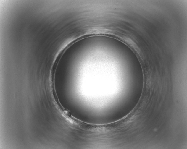 X0000066100990200603131225