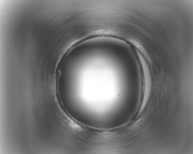 X0000066100992200603131225