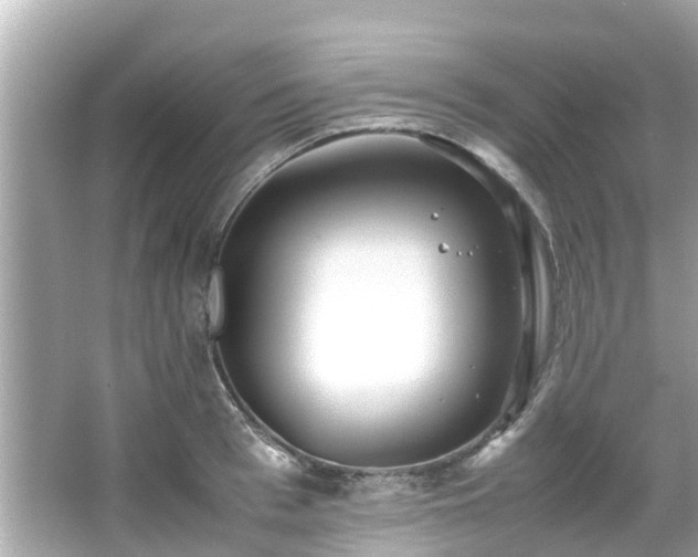 X0000066100993200603131225