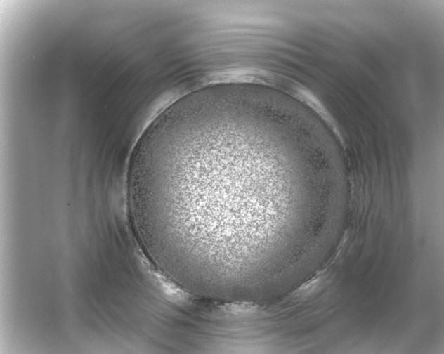 X0000066100994200603131225