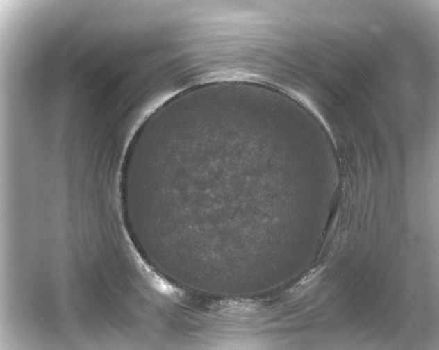 X0000066100995200603131225