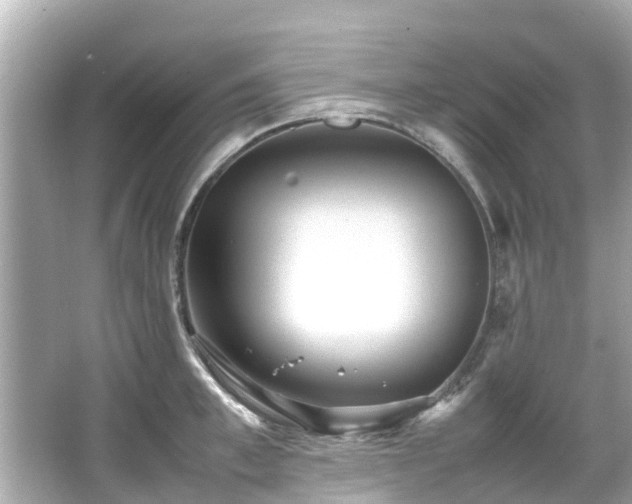 X0000066100997200603131225