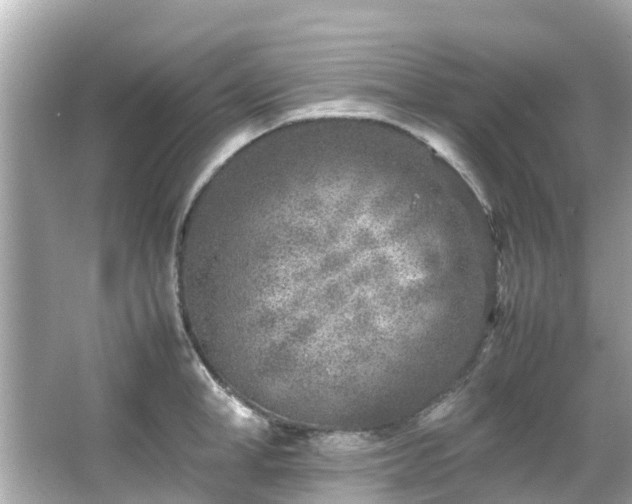 X0000066100998200603131225